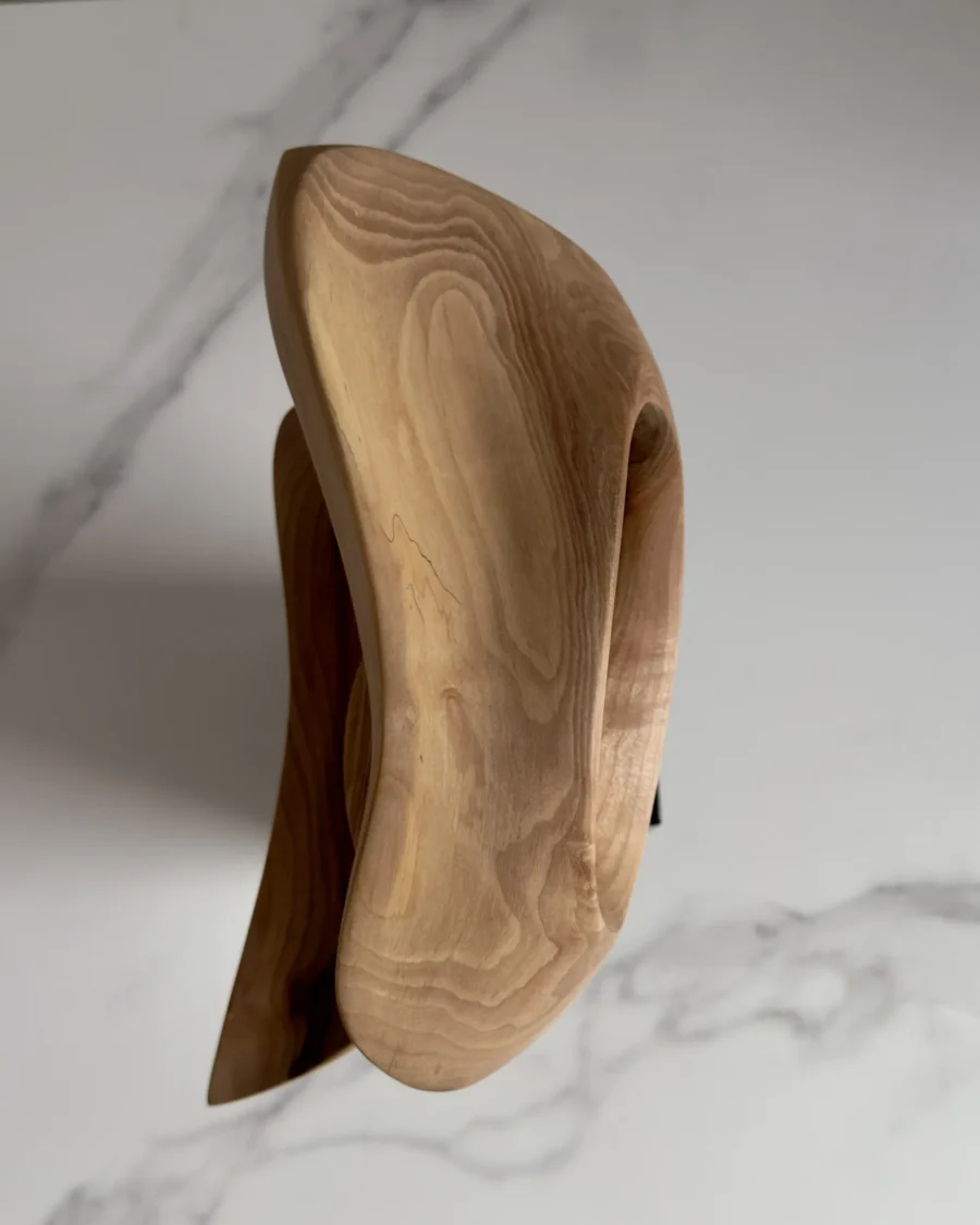 top view abstract wood sculpture detail walnut grain opening light smooth carved form