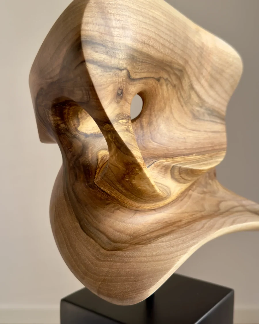 abstract wood sculpture detail walnut grain opening light smooth carved form