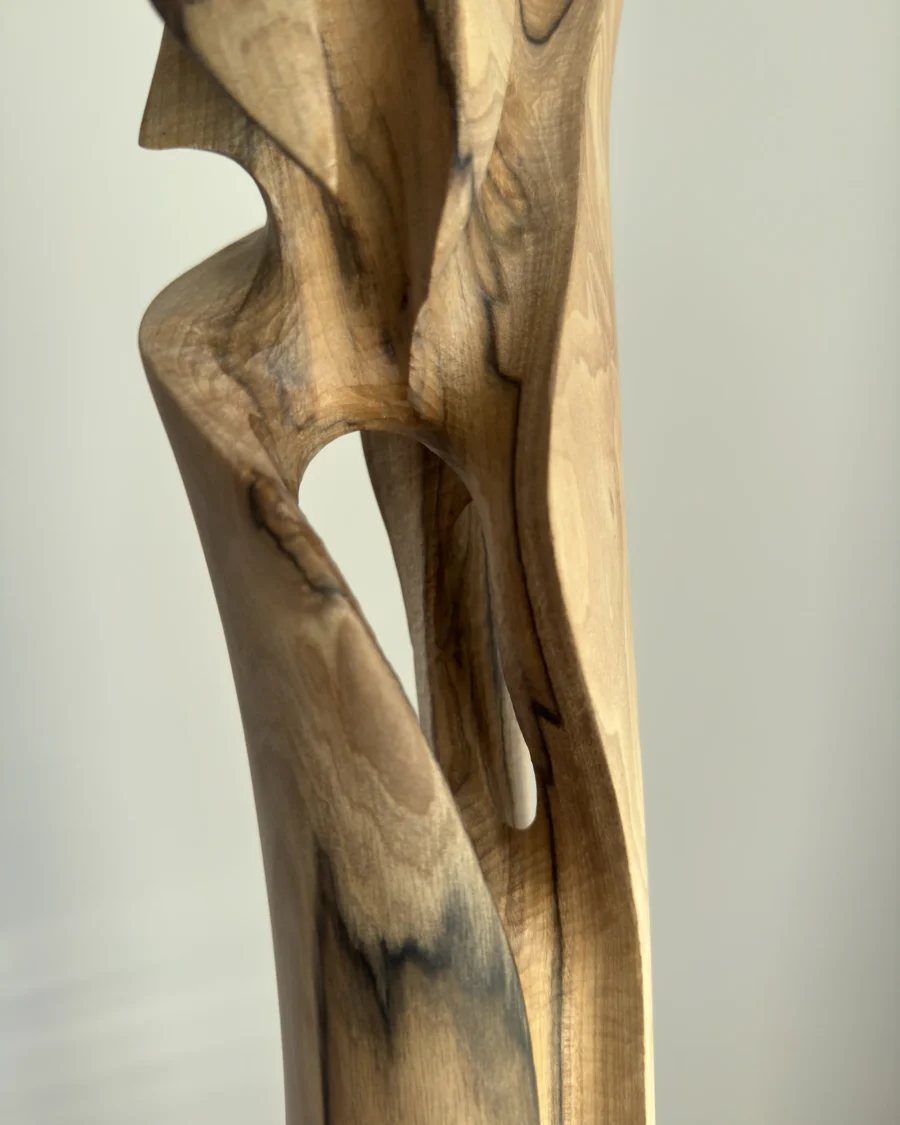 walnut wood sculpture detail natural grain texture contrast light and dark unfolding form