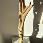 top view abstract wood sculpture walnut sharp organic planes light interaction unfolding form