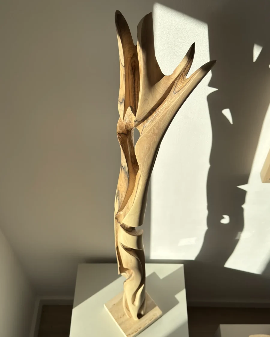top view abstract wood sculpture walnut sharp organic planes light interaction unfolding form