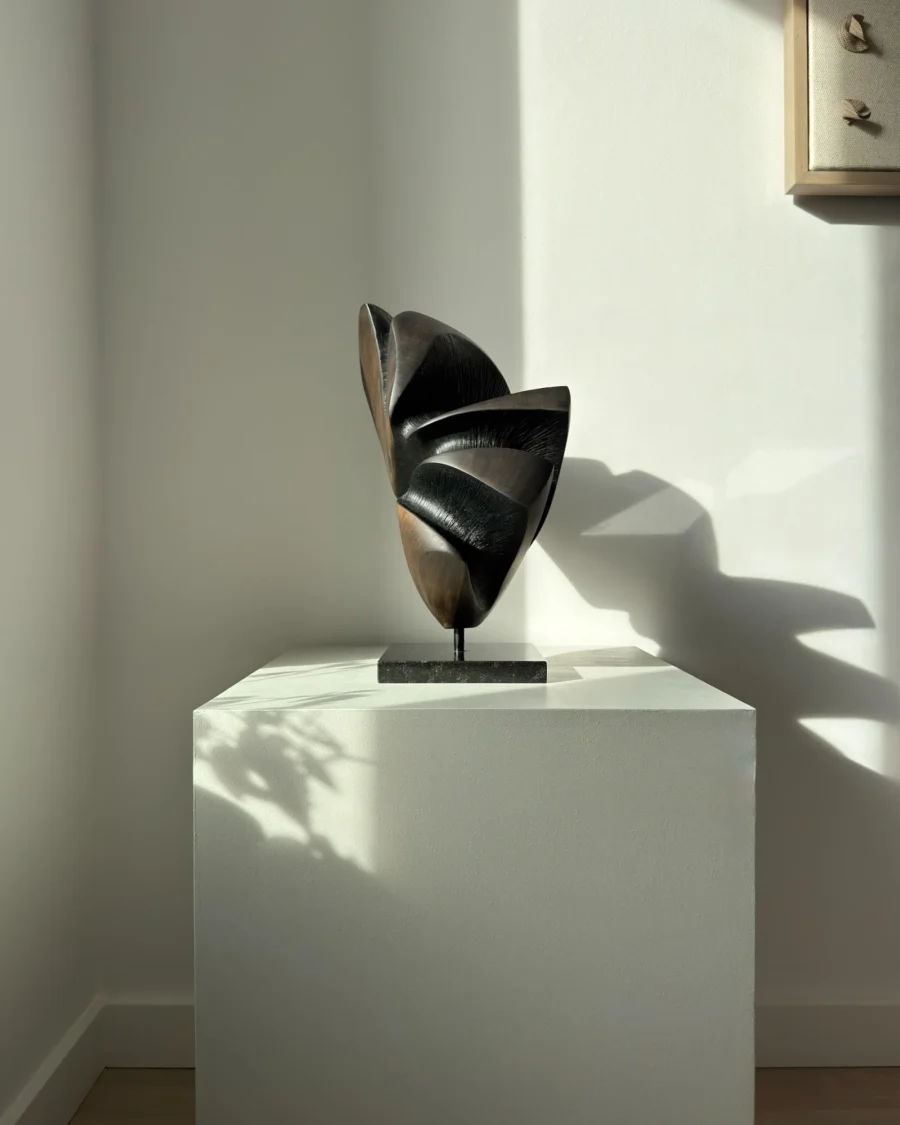 abstract applewood sculpture shadow split side view showing curved planes and dark carved interior