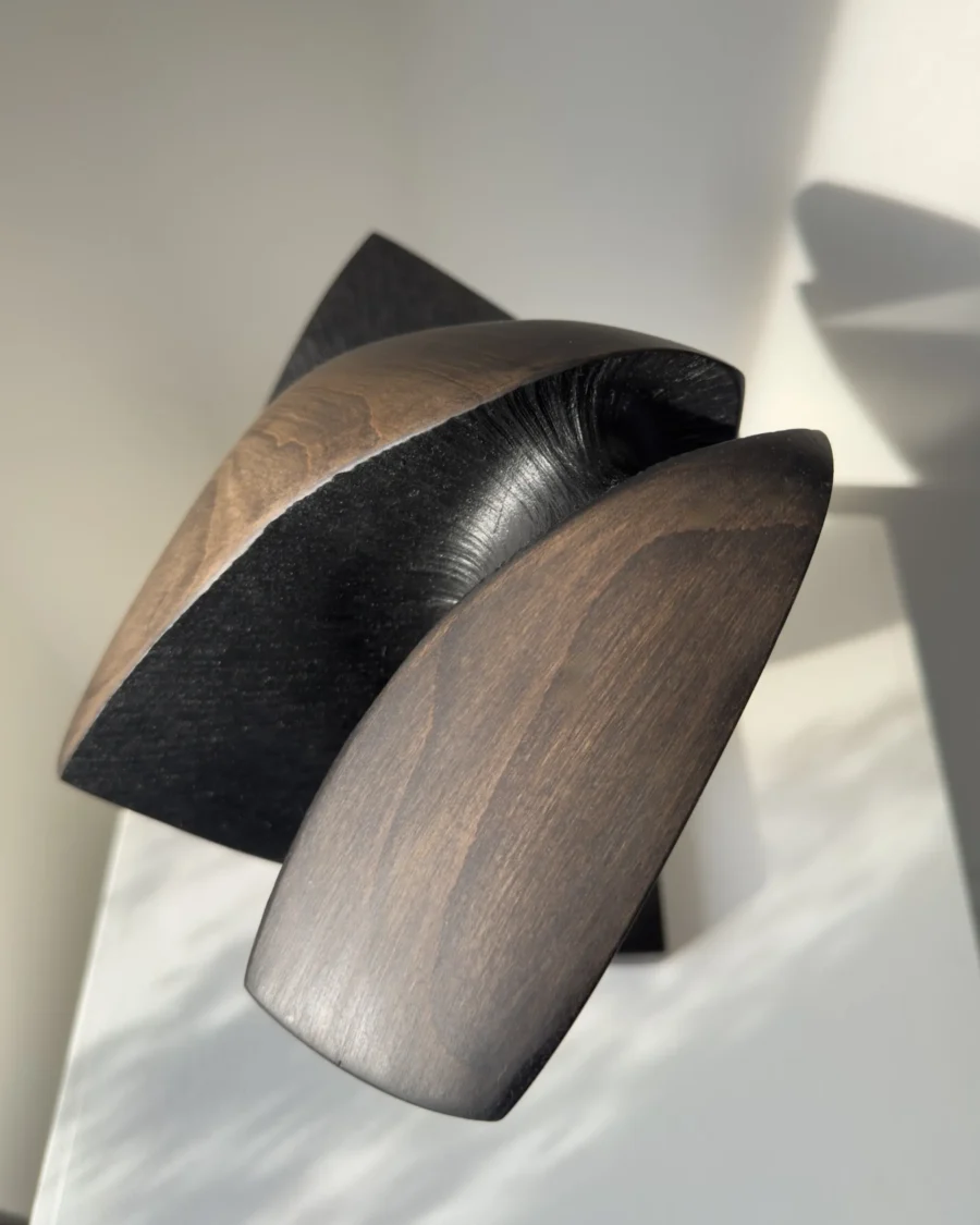 top view abstract wood sculpture applewood showing organic form and natural grain patterns