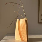 Hand carved ash wood vase with branch, abstract sculptural form, natural light