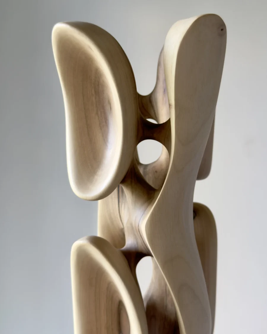 Detail of abstract wood sculpture Ivory Flow highlighting smooth curves and light reflection on walnut
