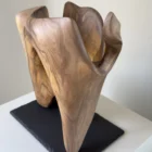 rebirth-walnut-wood-sculpture-ewebohome Detail of a hand-carved wood sculpture showing natural grain and smooth surface transitions.