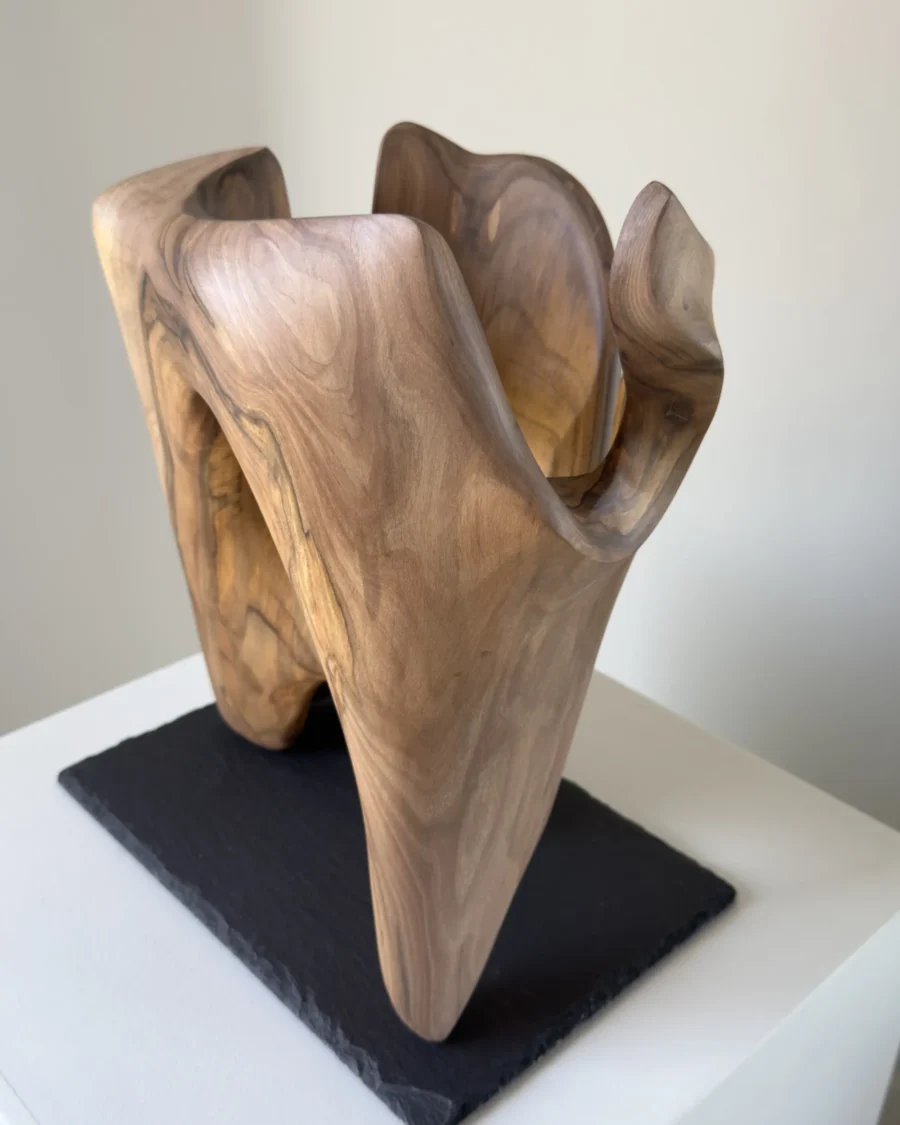 rebirth-walnut-wood-sculpture-ewebohome Detail of a hand-carved wood sculpture showing natural grain and smooth surface transitions.