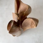 top view of abstract wood sculpture showing internal curves and grain pattern, hand carved walnut form