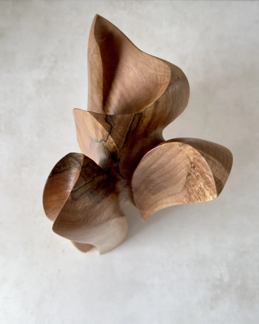 top view of abstract wood sculpture showing internal curves and grain pattern, hand carved walnut form