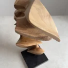 Top view of abstract wood sculpture revealing circular arc shape and flowing structure