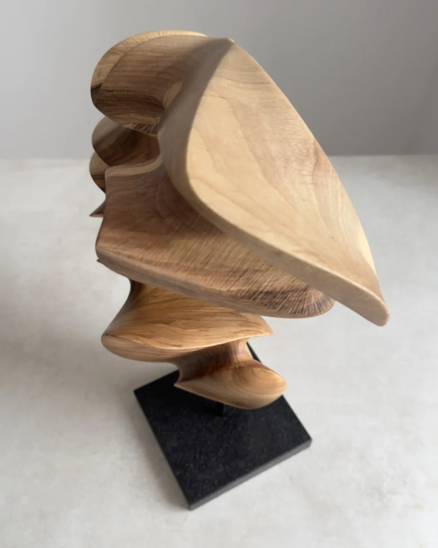 Top view of abstract wood sculpture revealing circular arc shape and flowing structure