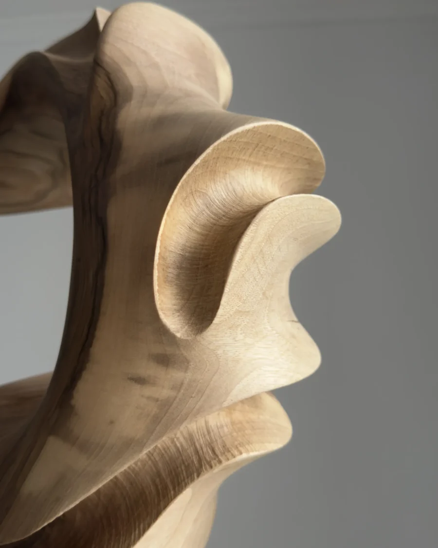 Light and shadow across carved walnut surface highlighting natural tonal variation