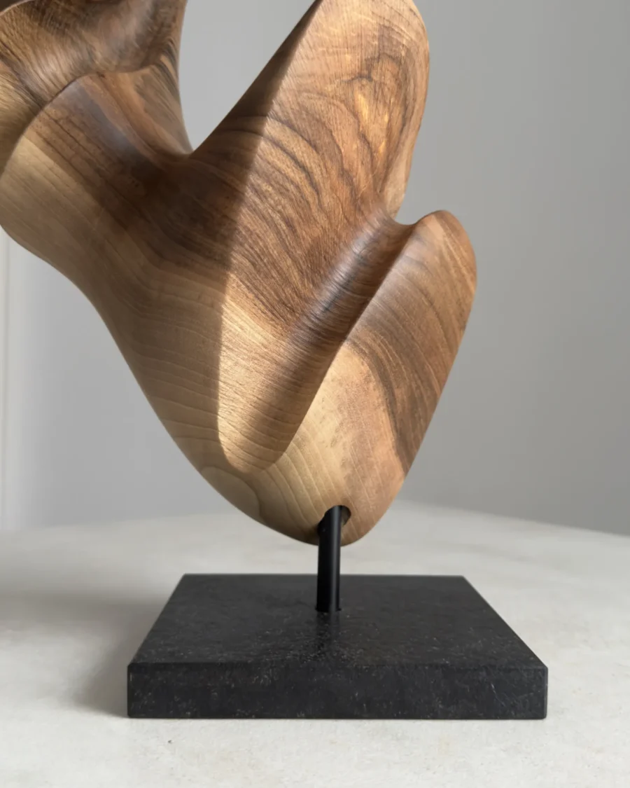 Close-up of hand-carved walnut sculpture showing grain, natural color variation, and smooth surface transitions