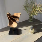 Hand carved walnut sculpture Velora in soft natural light showing flowing organic form