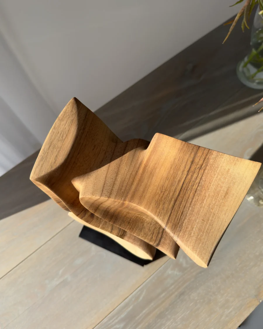 Top view of abstract wood sculpture Velora showing hollowed and flowing internal curves