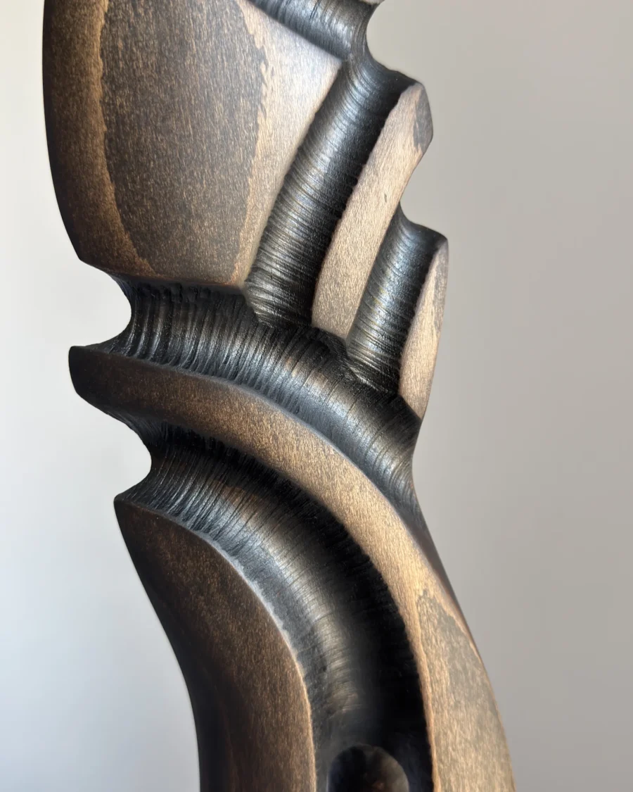 detailed texture charred wood sculpture beech close up