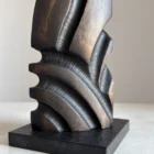 detailed texture charred wood sculpture beech close up