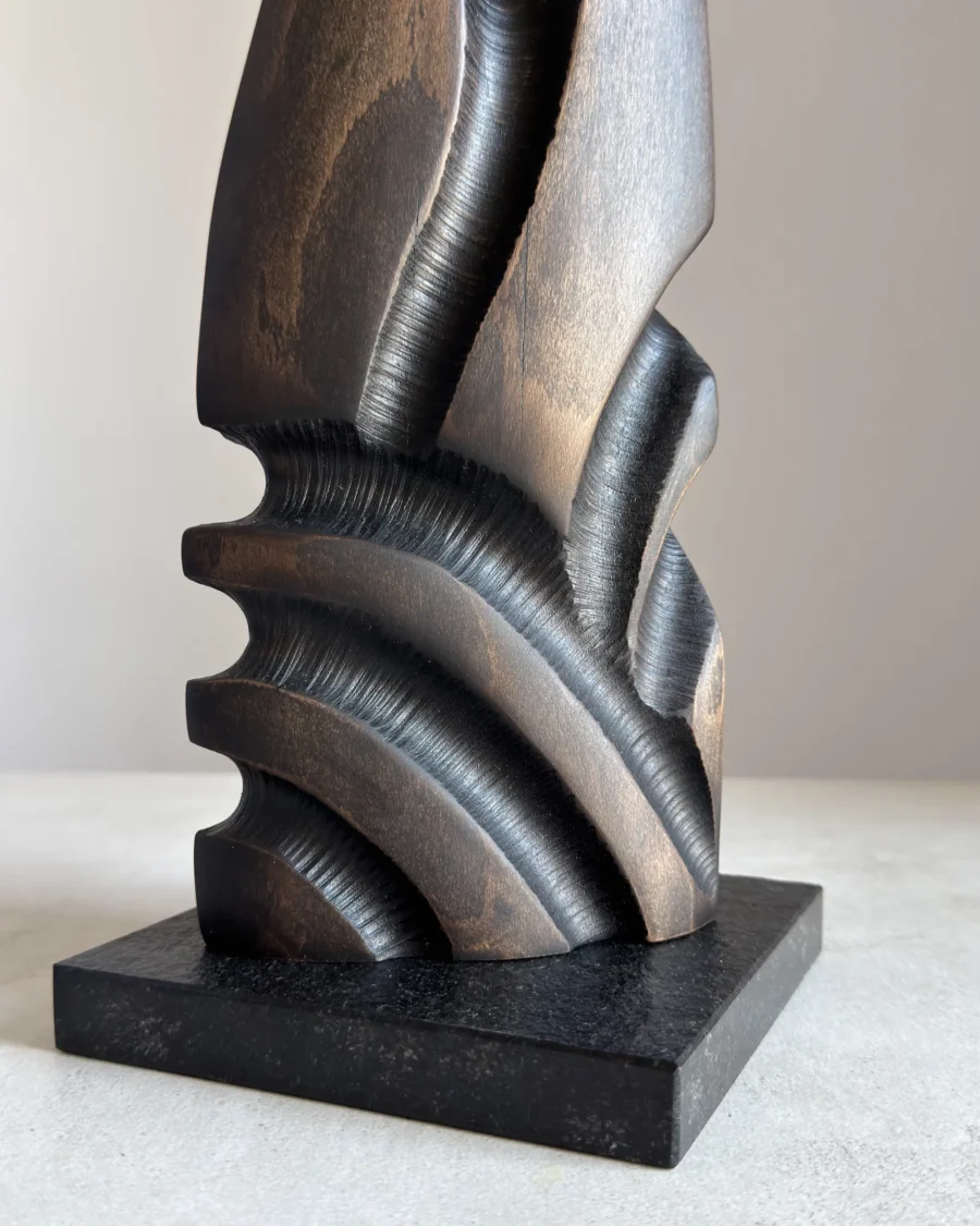 detailed texture charred wood sculpture beech close up