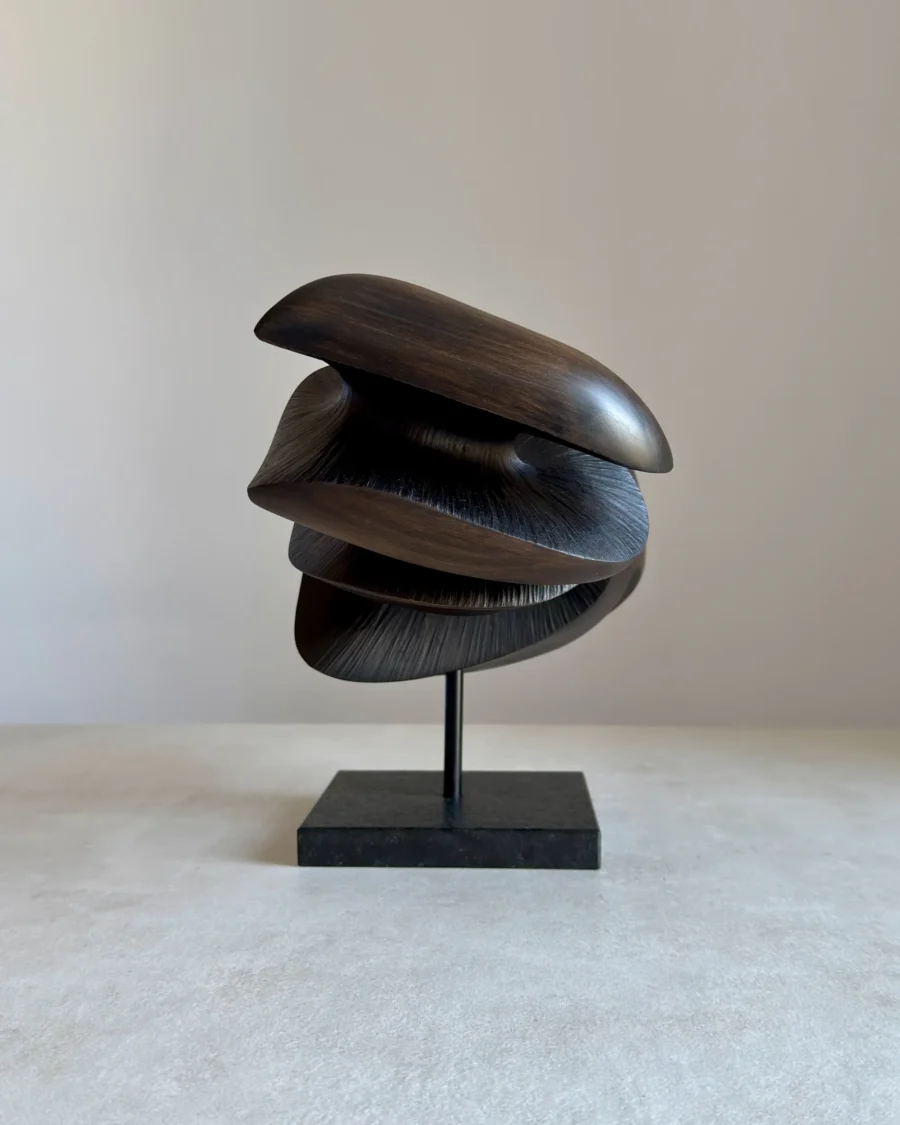 black abstract wood sculpture different angle showing movement