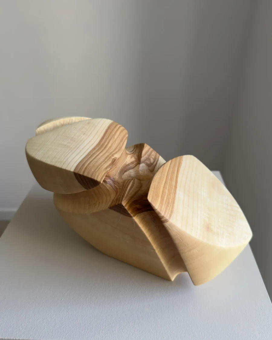 top view abstract wood vessel ash hand carved detail grain opening