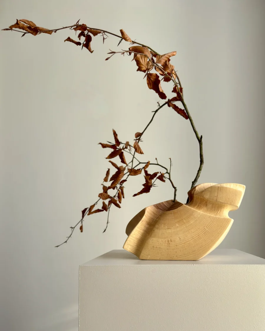 abstract wood sculpture vessel ash organic form light shadow