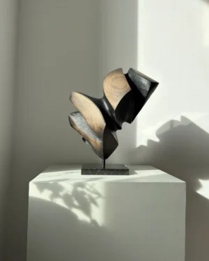 Shadow-Split-abstract-sculpture hand carved sculpture with flowing organic profile and dark charred surface