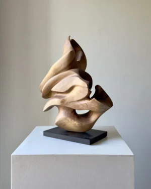 abstract-wood-sculpture-walnut-form-main hand carved walnut wood sculpture organic form viewed from side angle