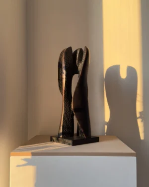 close-distance-maple-detail modern wooden sculpture detail smooth and textured surface contrast