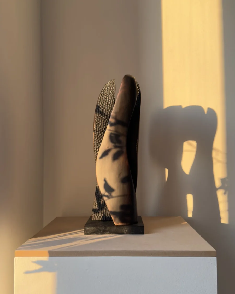 abstract wood sculpture Close Distance maple charred surface shadow