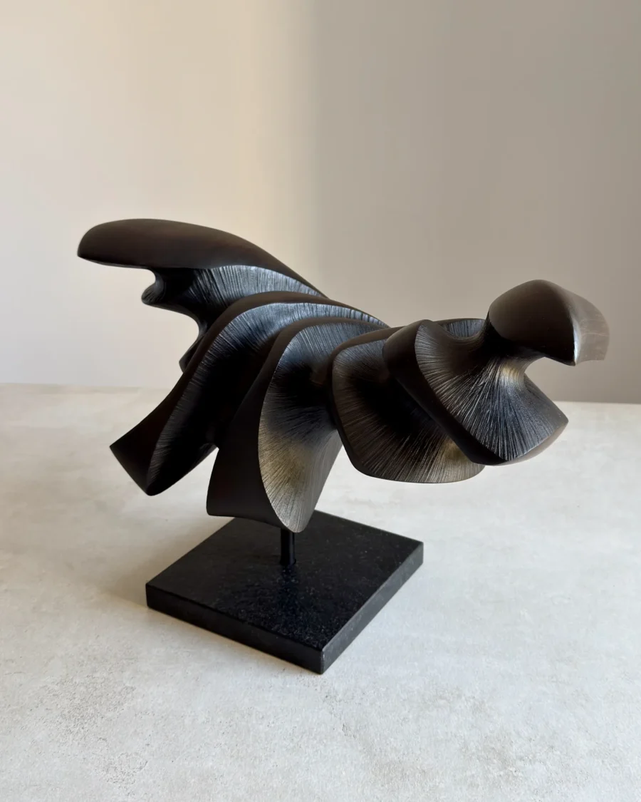 Dark Expansion sculpture viewed from an angle, showing layered organic forms and hand-carved textures in black pear wood
