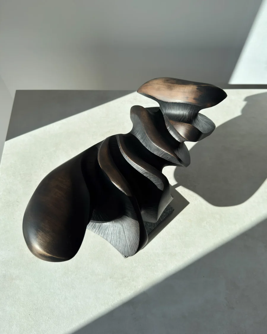 Dark Expansion abstract pear wood sculpture seen from above in direct sunlight, revealing layered carved surfaces and warm brown undertones