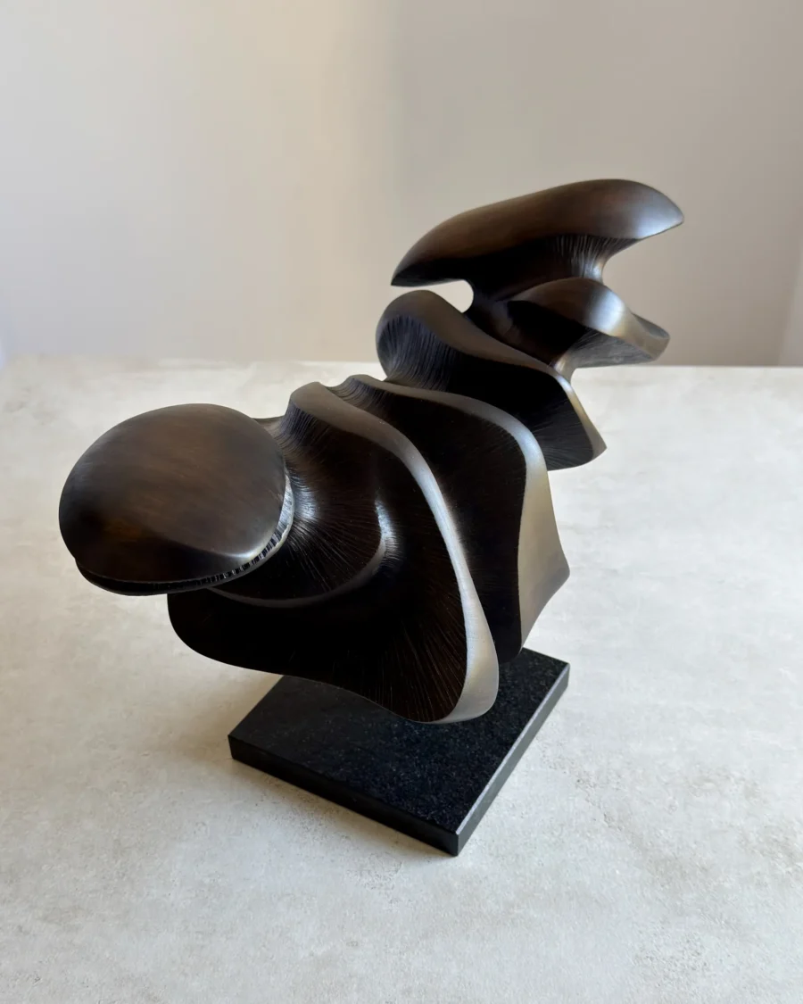 Angled view of Dark Expansion showing smooth organic curves transitioning into deeply carved textured surfaces