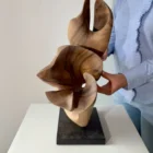abstract-wood-sculpture-light-shadow