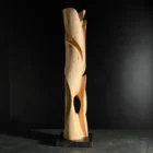 Abstract wood sculpture photographed on dark background, back view