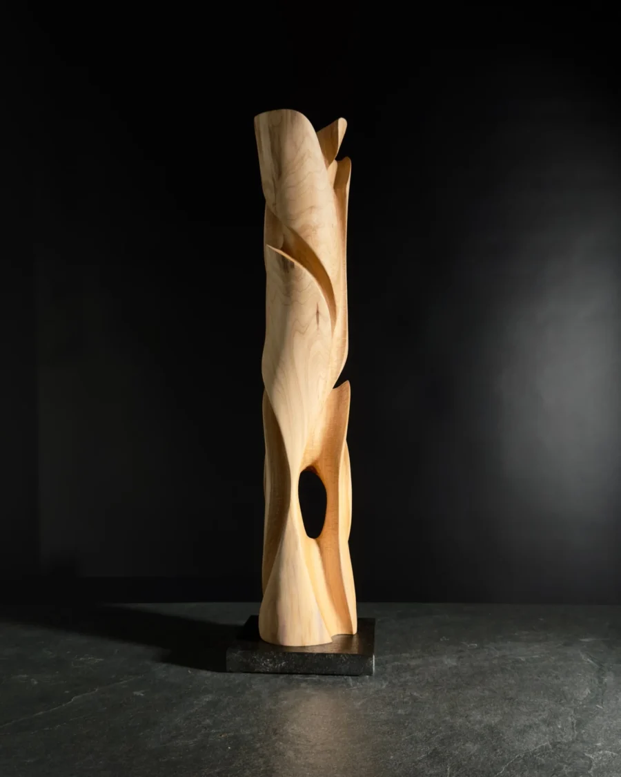 Abstract wood sculpture photographed on dark background, back view