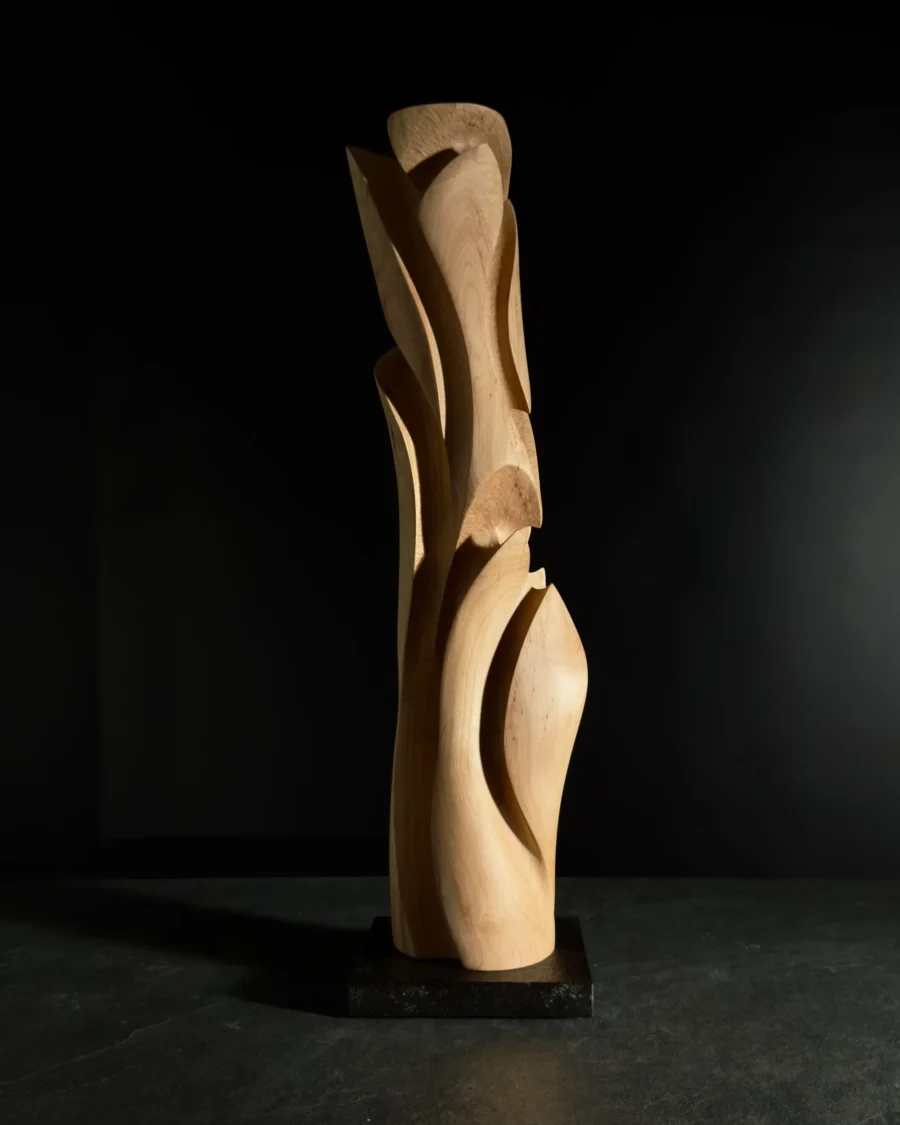 Abstract wood sculpture photographed on dark background