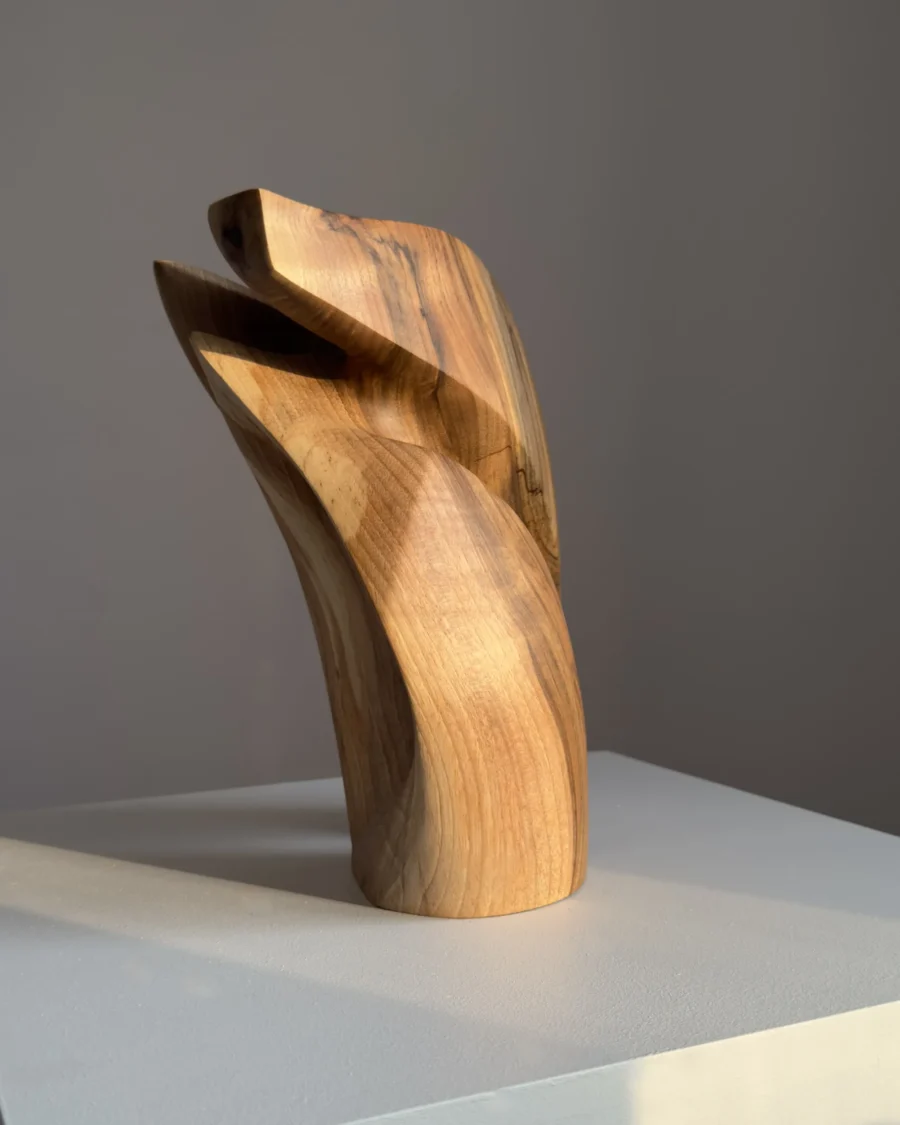 Walnut wood sculpture with visible grain contrast and organic curves, photographed in natural directional light.