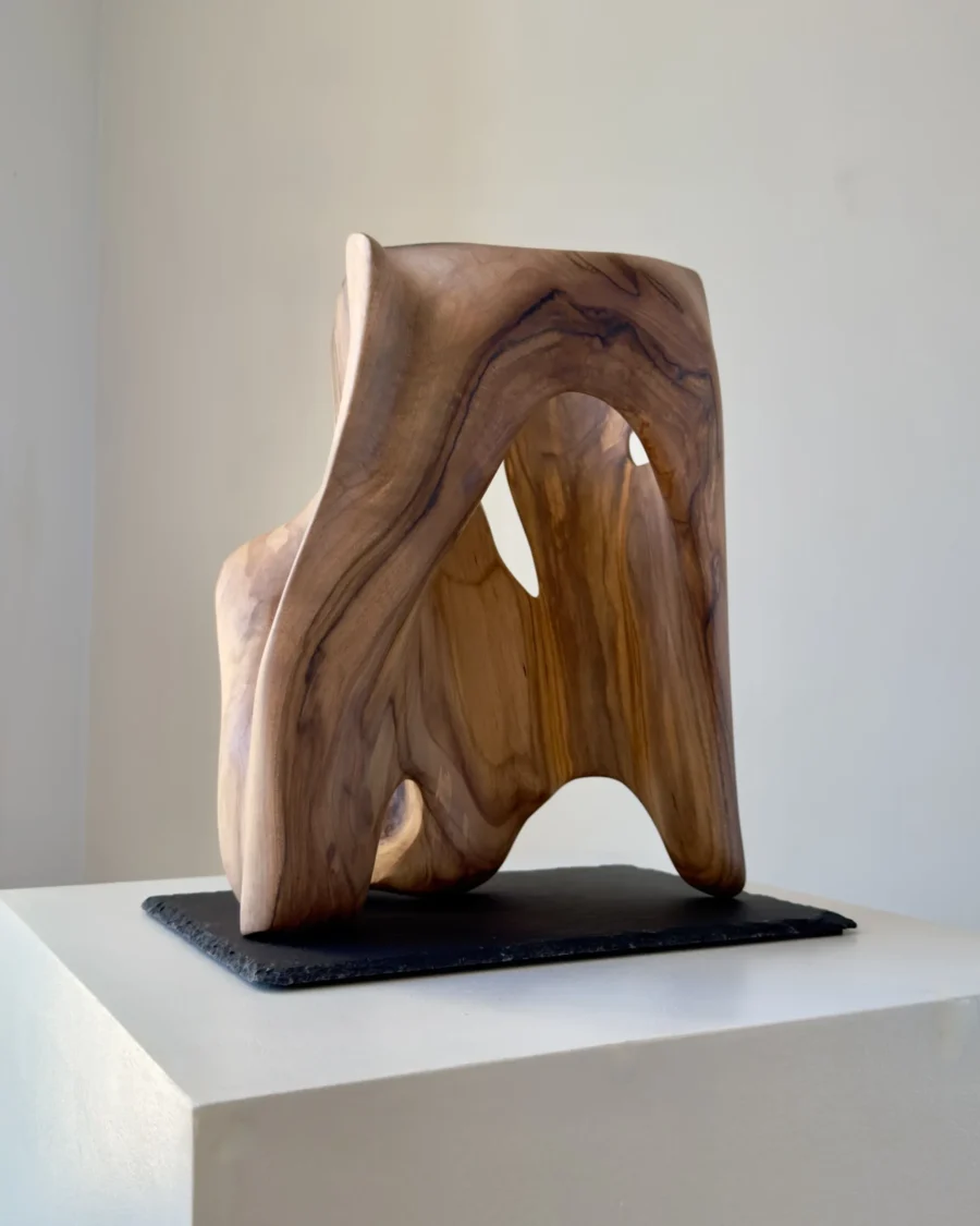 rebirth-abstract-sculpture-side-view-ewebohome Abstract wood sculpture made from decayed walnut, with a visible hollow center and organic structure.