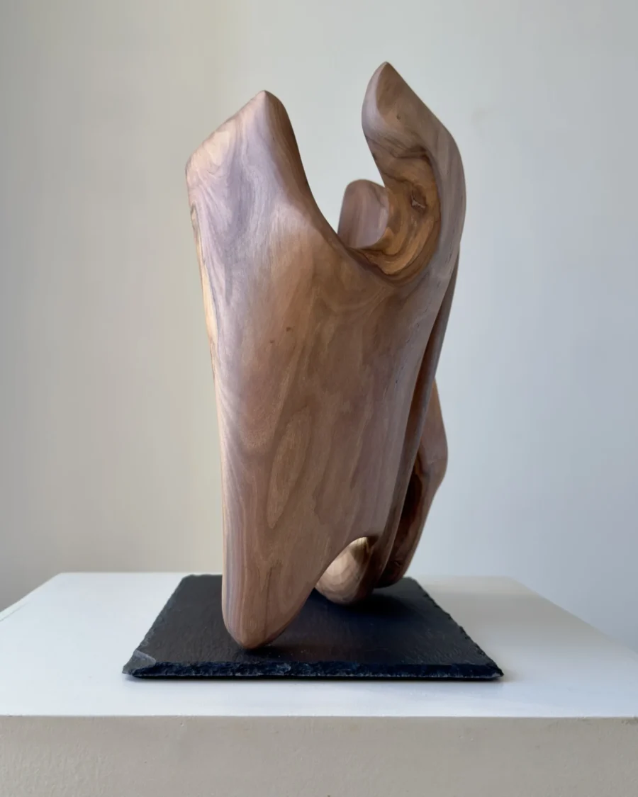 rebirth-wood-sculpture-side-view-ewebohome Side view of a walnut sculpture on a raw stone base, highlighting contrast between wood and slate.