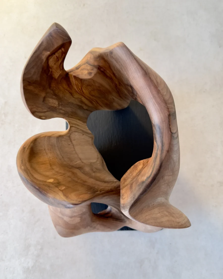 rebirth-wood-sculpture-top-view-ewebohome Top view of a walnut sculpture revealing an open void and flowing organic shape.