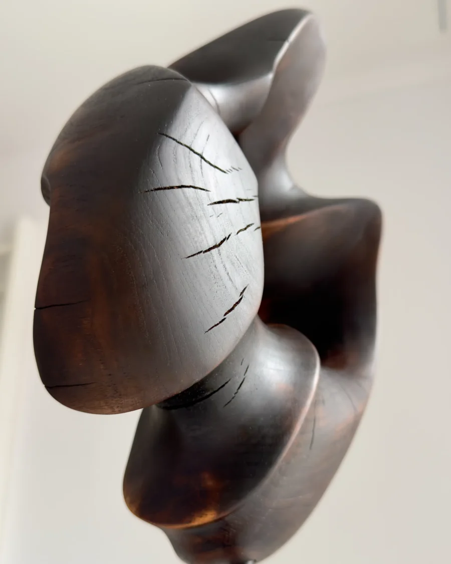 flame-memory-charred-wood-sculpture-detail-cracks Close-up detail of fire-charred walnut sculpture surface with natural heat cracks and dark matte finish