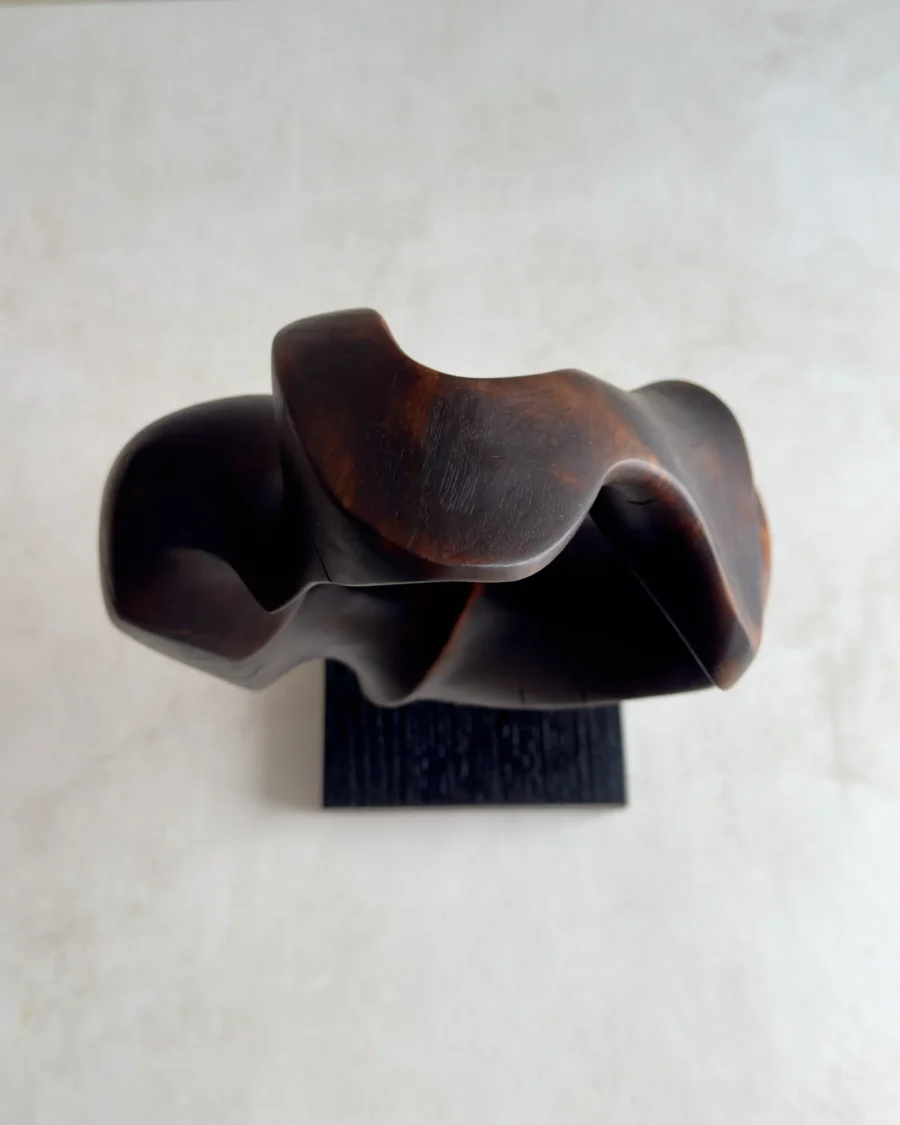 flame-memory-top-view-charred-walnut-sculpture Top view of hand-carved charred walnut sculpture showing fluid curves and sculptural opening