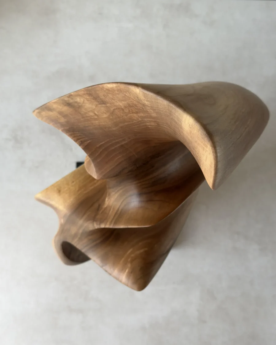 abstract-sculpture-virella-top-view Virella