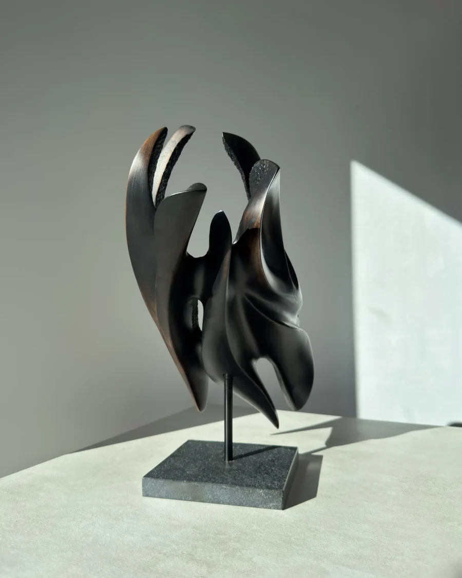 abstract-wood-sculpture-black-apple-wood-main Hand carved apple wood sculpture Inner Tension, front view with soft natural light