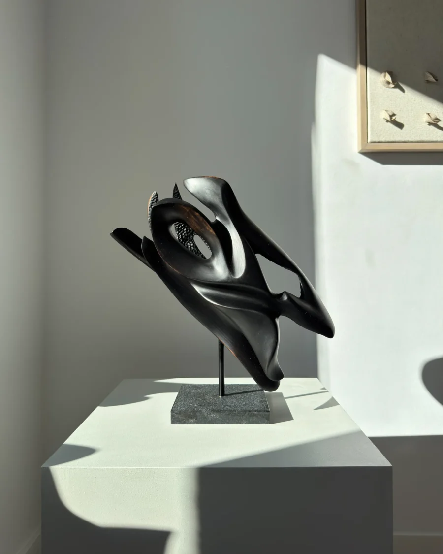 inner-tension-apple-wood-sculpture-light Apple wood sculpture illuminated by sunlight, highlighting form