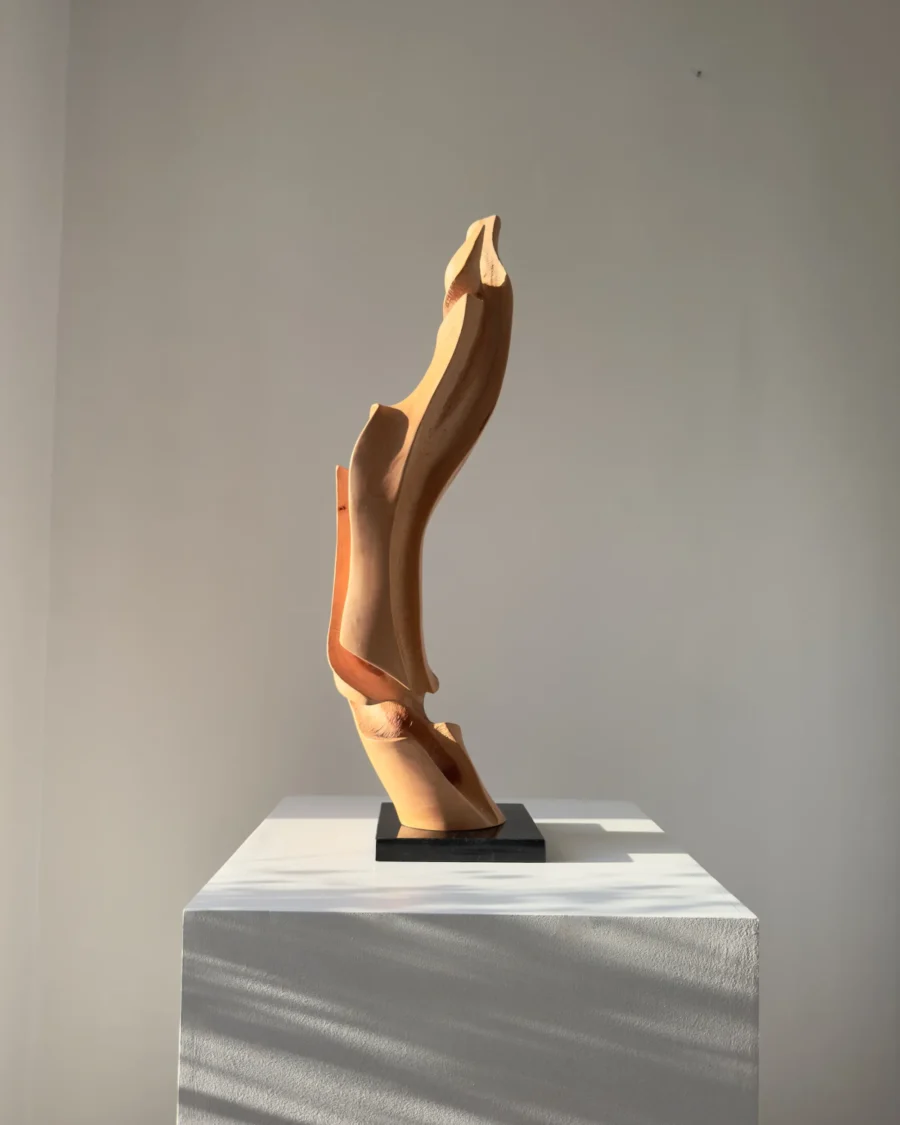 One of a kind wooden sculpture with organic flowing form