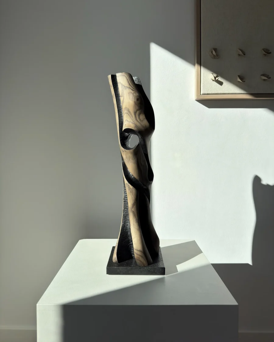Hand-carved abstract wood sculpture “Noctivis” with black textured interior and natural wood grain on black granite base in sunlight.