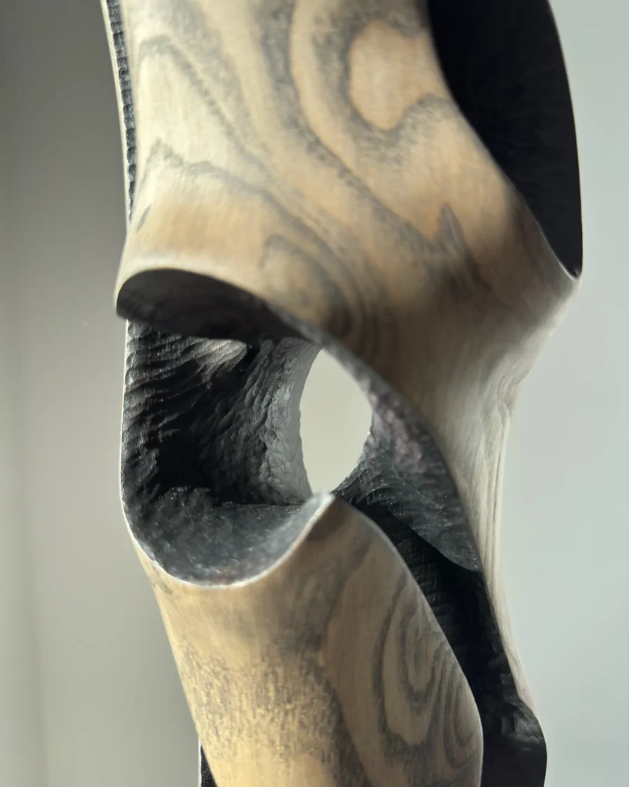 Close-up detail of “Noctivis” sculpture featuring circular opening, hand-carved textures, and contrast between black and natural wood surfaces.