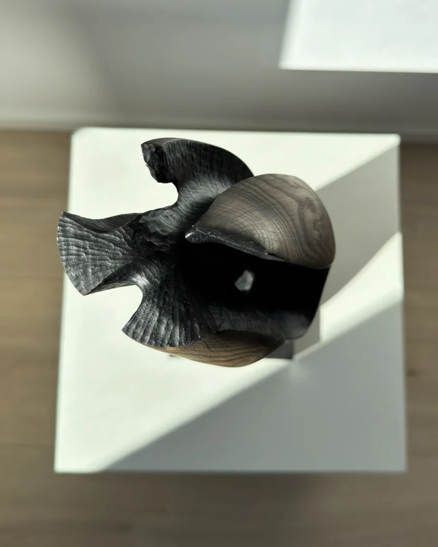 Top view of “Noctivis” abstract wooden sculpture revealing carved interior structure and textured black surfaces.