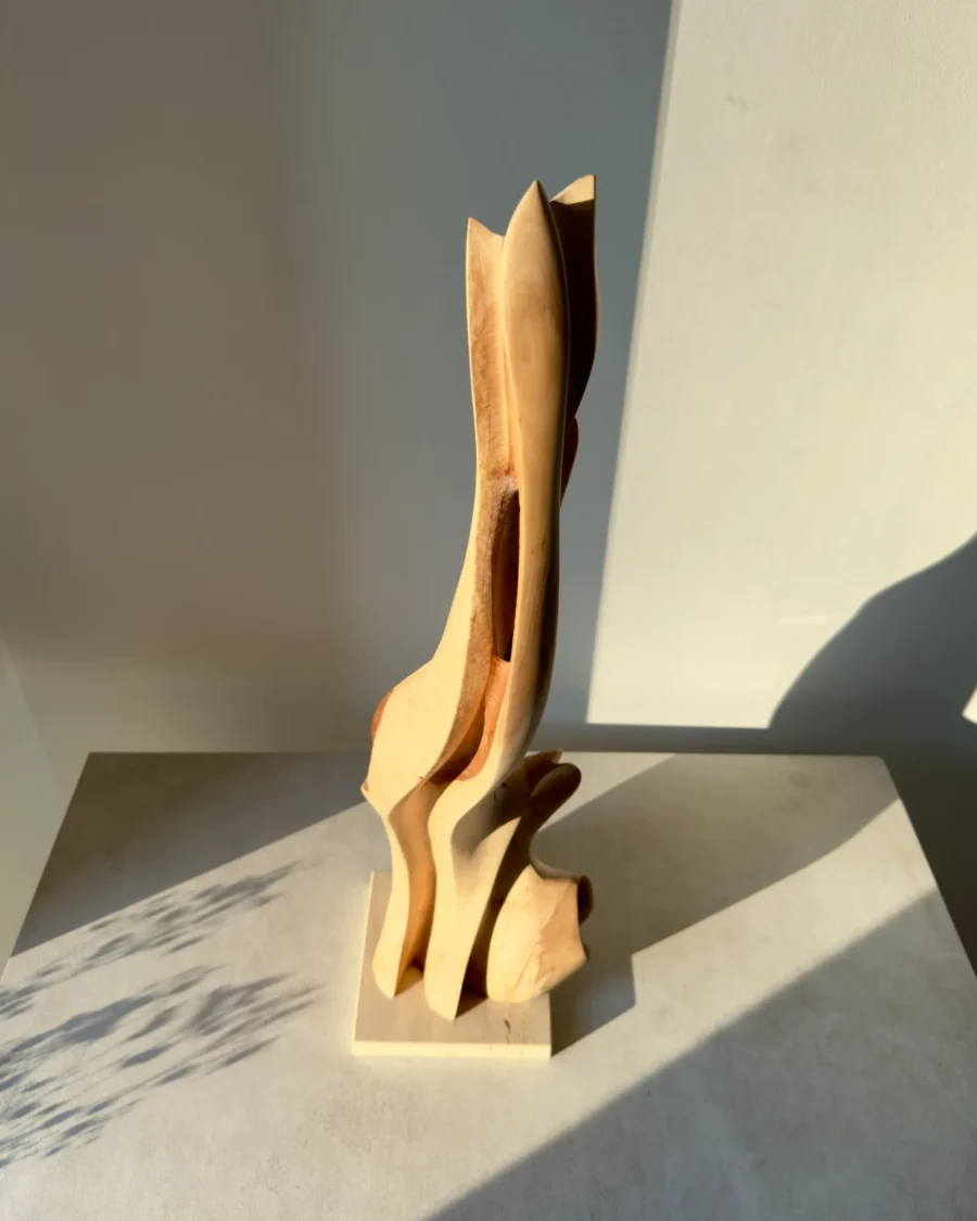 Applewood sculpture Rising Form interacting with natural light and shadow
